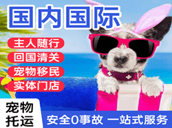 梅州航空空运国际宠物托运 【国